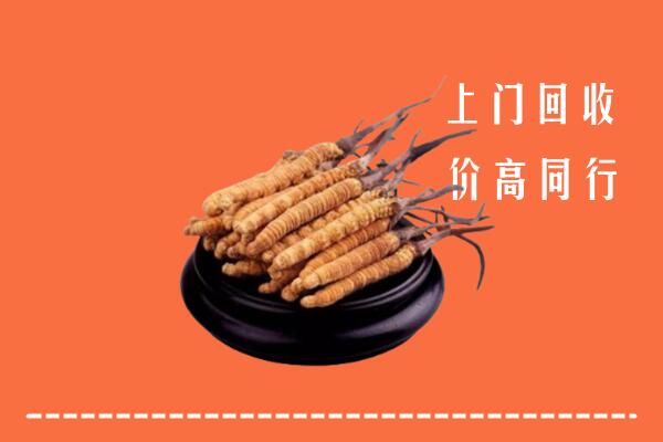 遂宁回收冬虫夏草